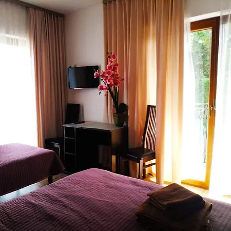 Grot 3* מיצ'יצ'ניו