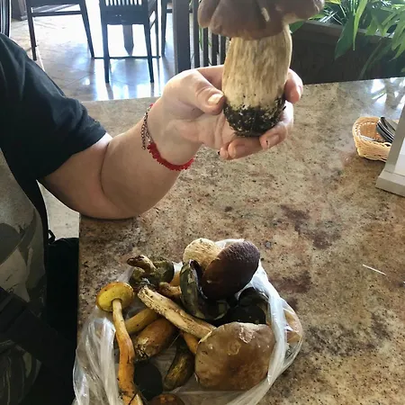 לינה וארוחת בוקר Grot