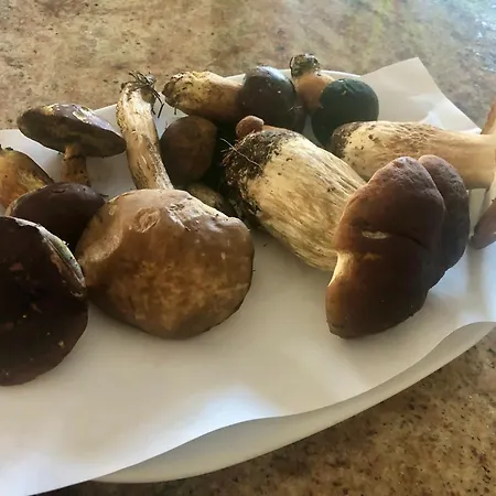 Grot לינה וארוחת בוקר 3*