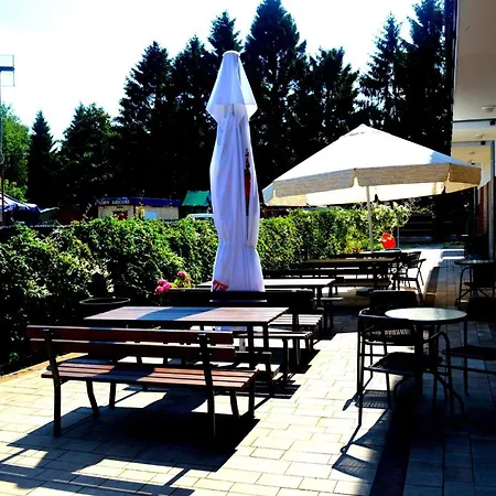 Grot מיצ'יצ'ניו