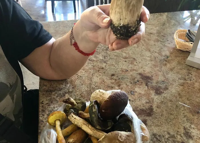 Bed & Breakfast Grot