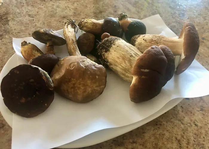 Grot Bed & Breakfast 3*